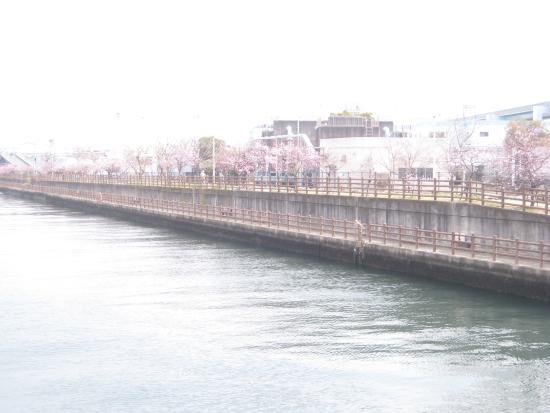 Waterside Promenade Uozaki